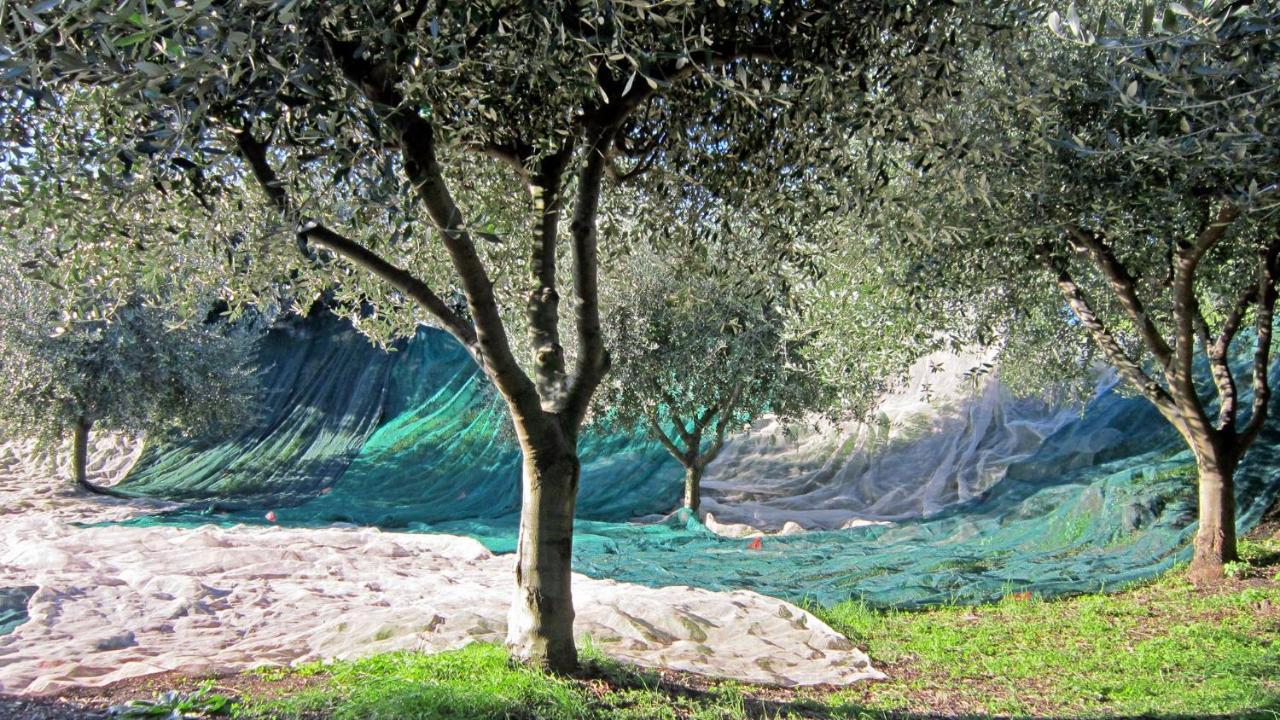 Case Perrotta SantʼAlfio Extérieur photo